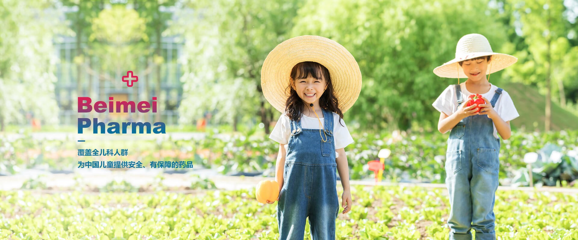 2022年11月貝美藥業(yè)自主研發(fā)的又一個(gè)品種，獲得生產(chǎn)許可B證！